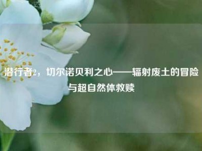潜行者2，切尔诺贝利之心——辐射废土的冒险与超自然体救赎