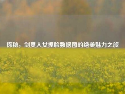探秘，剑灵人女捏脸数据图的绝美魅力之旅