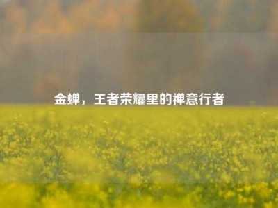 金蝉，王者荣耀里的禅意行者