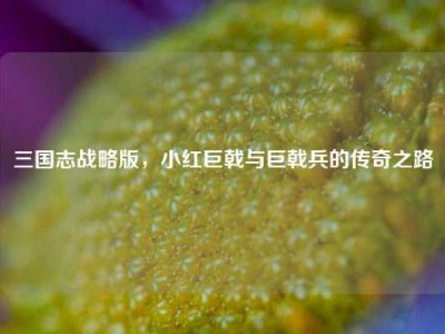 三国志战略版，小红巨戟与巨戟兵的传奇之路