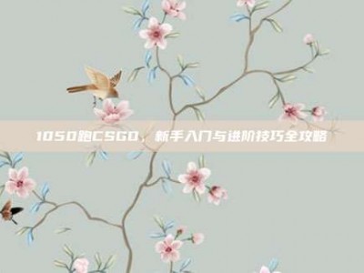 1050跑CSGO，新手入门与进阶技巧全攻略