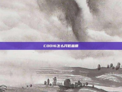 COD16怎么开低画质
