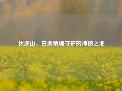 伏虎山，白虎精魂守护的神秘之地