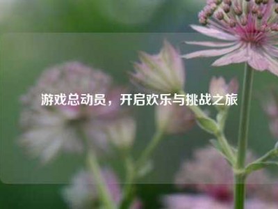 游戏总动员，开启欢乐与挑战之旅