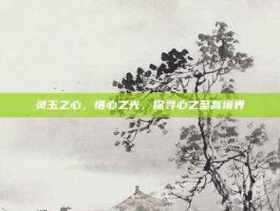 灵玉之心，悟心之光，探寻心之至高境界