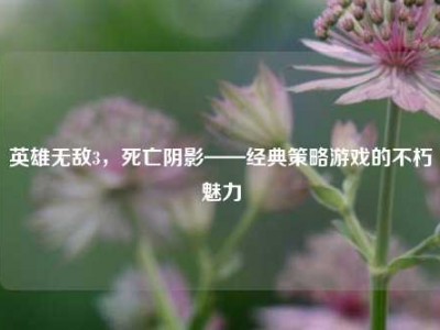 英雄无敌3，死亡阴影——经典策略游戏的不朽魅力