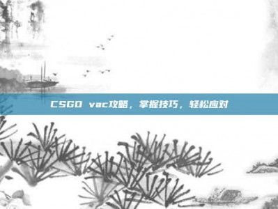 CSGO vac攻略，掌握技巧，轻松应对