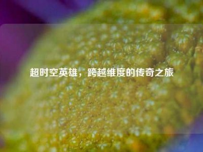 超时空英雄，跨越维度的传奇之旅