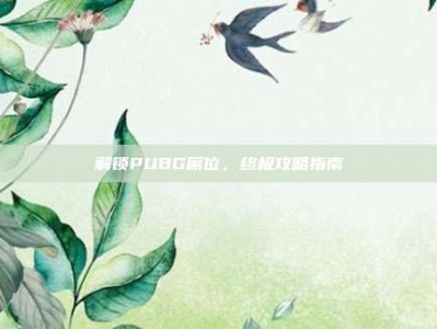 解锁PUBG席位，终极攻略指南