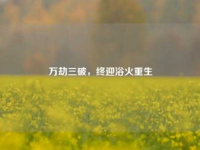 万劫三破，终迎浴火重生
