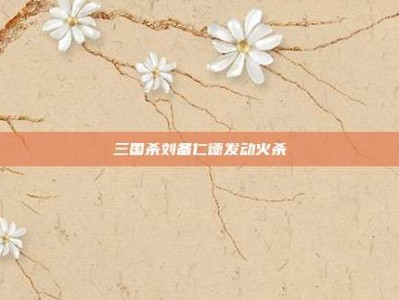 三国杀刘备仁德发动火杀