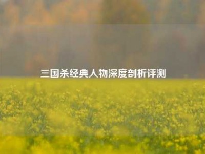 三国杀经典人物深度剖析评测