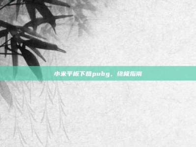 小米平板下哉pubg，终极指南