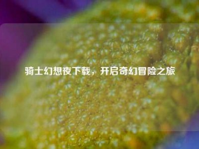 骑士幻想夜下载，开启奇幻冒险之旅