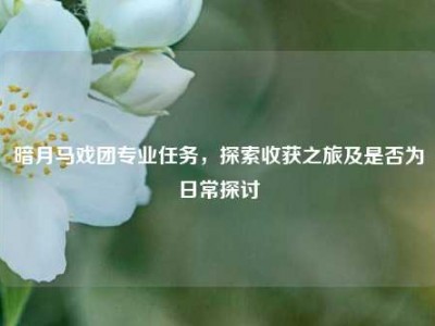 暗月马戏团专业任务，探索收获之旅及是否为日常探讨