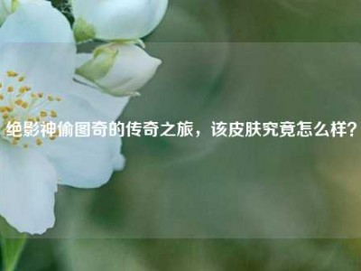 绝影神偷图奇的传奇之旅，该皮肤究竟怎么样？