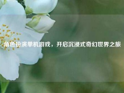 角色扮演单机游戏，开启沉浸式奇幻世界之旅