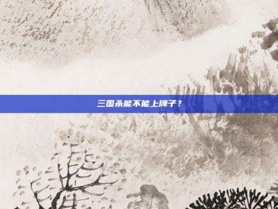 三国杀能不能上牌子？