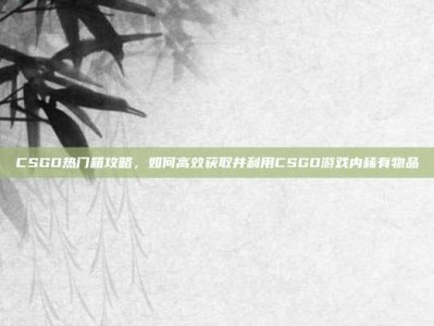 CSGO热门箱攻略，如何高效获取并利用CSGO游戏内稀有物品