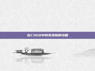 在CSGO中购买皮肤的攻略