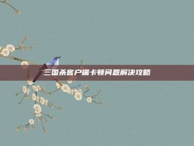 三国杀客户端卡顿问题解决攻略