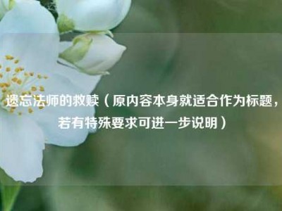 遗忘法师的救赎（原内容本身就适合作为标题，若有特殊要求可进一步说明）