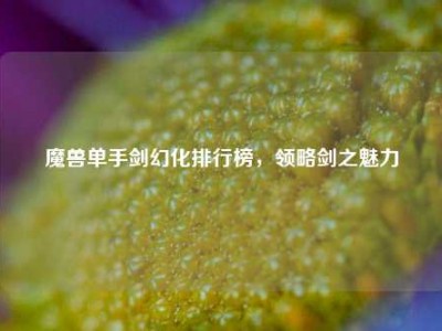 魔兽单手剑幻化排行榜，领略剑之魅力