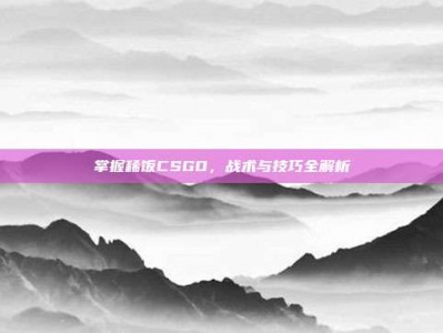 掌握稀饭CSGO，战术与技巧全解析