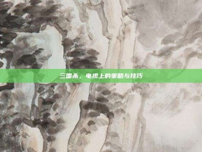 三国杀，电视上的策略与技巧