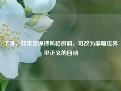 了呀，如果要保持风格微调，可改为黑暗世界里正义的回响