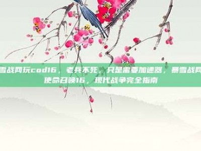 暴雪战网玩cod16，老兵不死，只是需要加速器，暴雪战网玩使命召唤16，现代战争完全指南