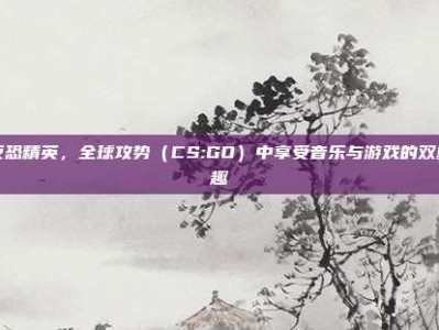 在反恐精英，全球攻势（CS:GO）中享受音乐与游戏的双重乐趣