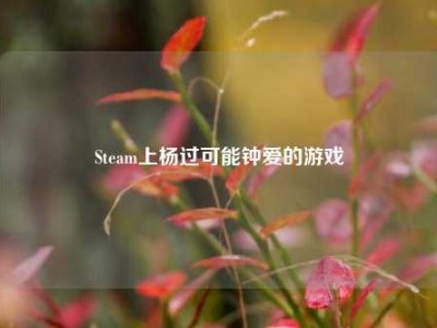 Steam上杨过可能钟爱的游戏