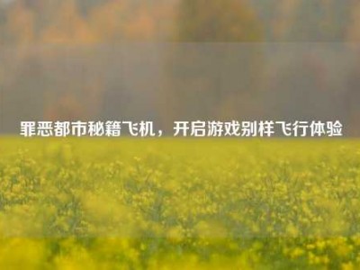 罪恶都市秘籍飞机，开启游戏别样飞行体验