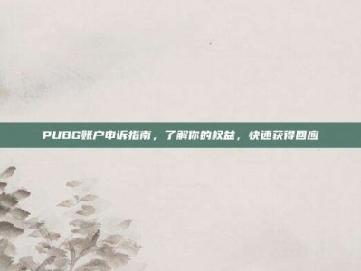 PUBG账户申诉指南，了解你的权益，快速获得回应