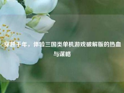 穿越千年，体验三国类单机游戏破解版的热血与谋略