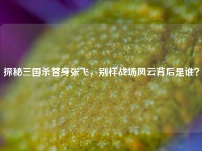 探秘三国杀替身张飞，别样战场风云背后是谁？