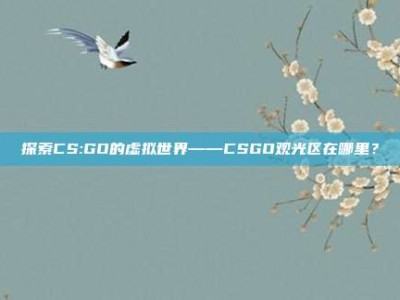 探索CS:GO的虚拟世界——CSGO观光区在哪里？