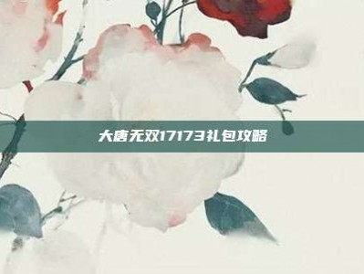 大唐无双17173礼包攻略