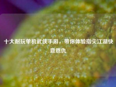 十大耐玩单机武侠手游，带你体验指尖江湖快意恩仇