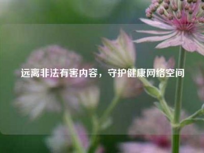 远离非法有害内容，守护健康网络空间