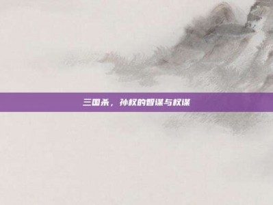 三国杀，孙权的智谋与权谋