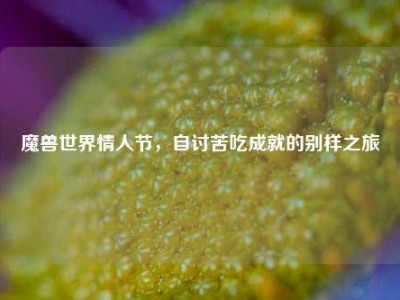 魔兽世界情人节，自讨苦吃成就的别样之旅