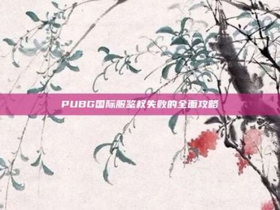 PUBG国际服鉴权失败的全面攻略