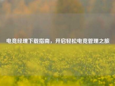 电竞经理下载指南，开启轻松电竞管理之旅