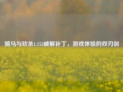 骑马与砍杀1.153破解补丁，游戏体验的双刃剑