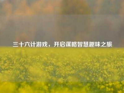 三十六计游戏，开启谋略智慧趣味之旅