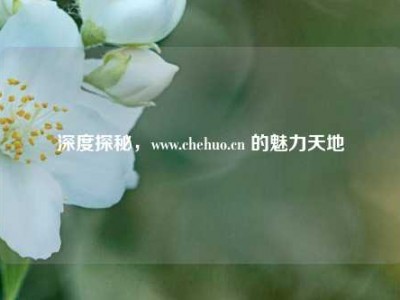 深度探秘，www.chehuo.cn 的魅力天地