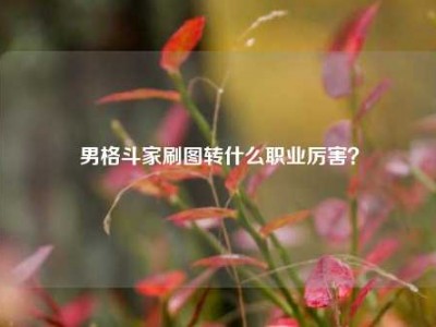 男格斗家刷图转什么职业厉害？
