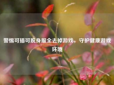 警惕可插可脱身服全去掉游戏，守护健康游戏环境